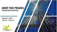 Meet_the_Primes_-_Professional_Services