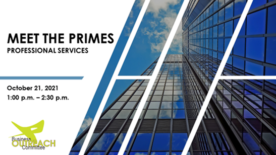 Meet_the_Primes_-_Professional_Services