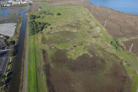 Corte Madera Marsh Restoration Project