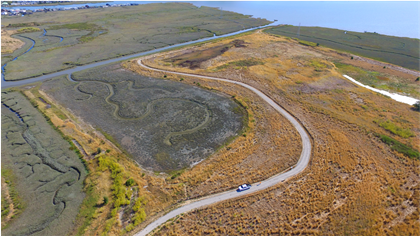 Corte Madera Marsh Restoration Project