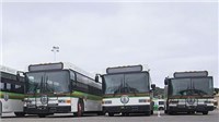 hybrid-buses-2019