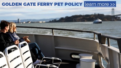 PET_POLICY