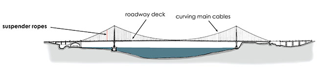 What Suspends a Suspension Bridge