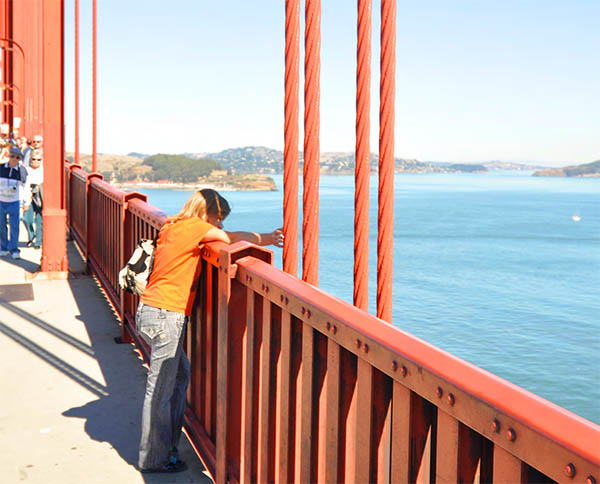 What Suspends a Suspension Bridge - Suspender Ropes